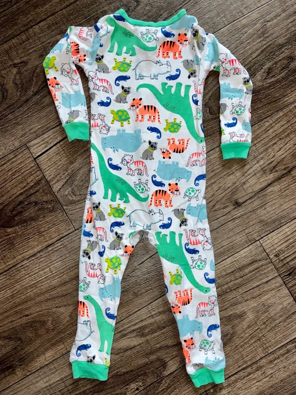 Green-Trim Dinosaur & Animal Footed One-Piece for Kids